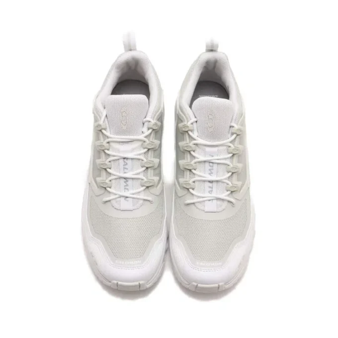 ACS + FT « White Pewter »