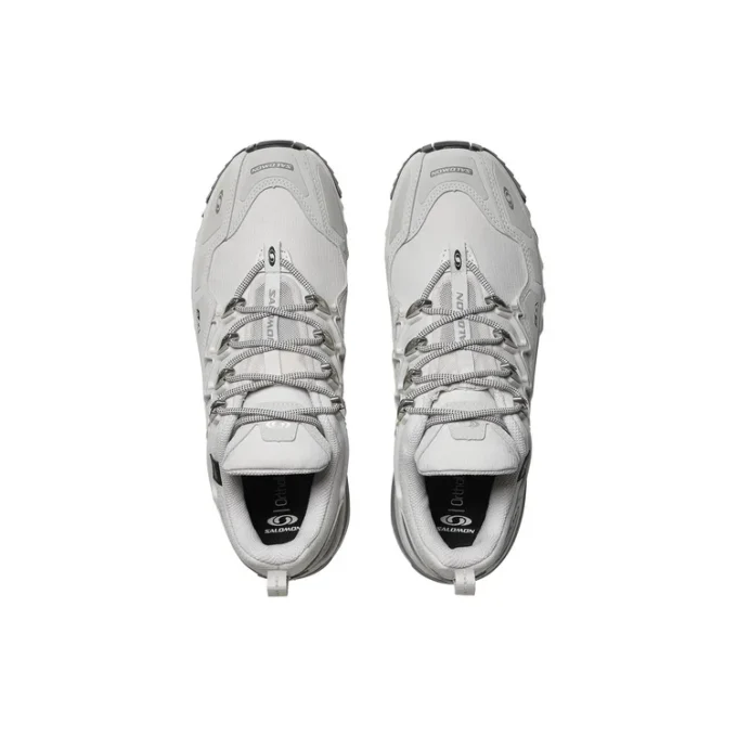 ACS + « White Silver » ACS + « White Silver »