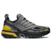 Salomon ACS PRO Advanced « Silver »