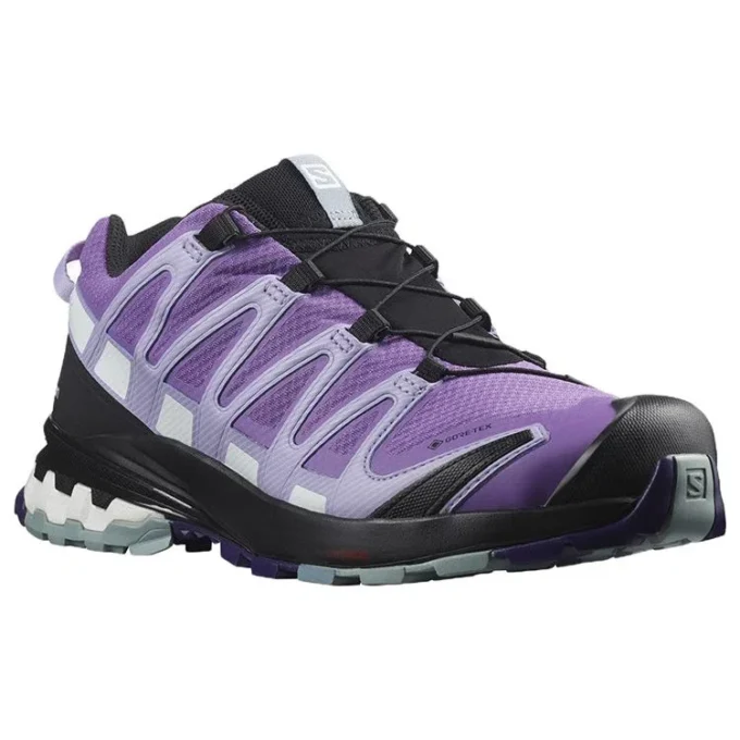 Salomon XA PRO 3D V8 Gore-Tex
