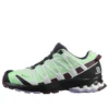 SALOMON XA PRO 3d V8 Gtx « Green Black »