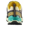 SALOMON XA PRO 3D V9 Gore-Tex « Transparent Yellow Black »