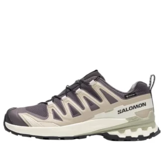 Salomon XA PRO 3D V9 GTX « Gris foncé Beige »