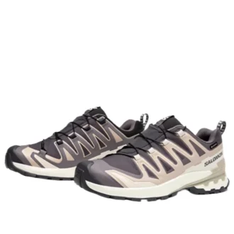 Salomon XA PRO 3D V9 GTX « Gris foncé Beige »