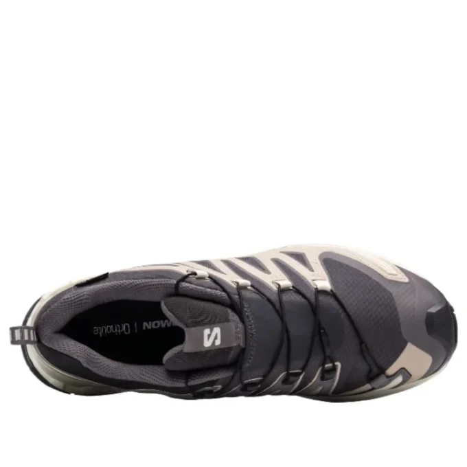 Salomon XA PRO 3D V9 GTX « Gris foncé Beige »