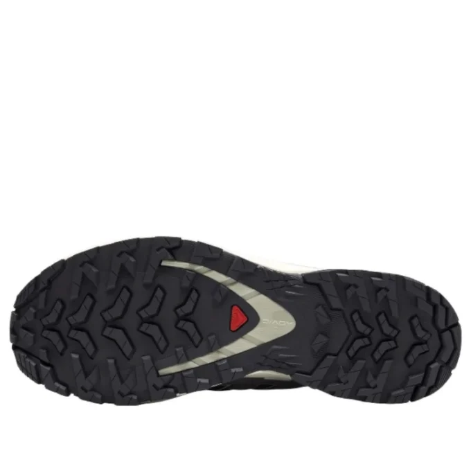 Salomon XA PRO 3D V9 GTX « Gris foncé Beige »