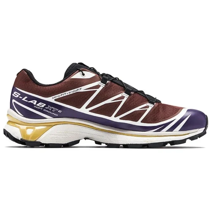 Salomon XT-6 « Brown Burgundy »
