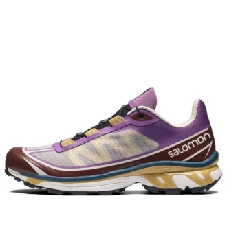 Salomon XT-6 Ft « Gris Violet Marron »