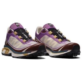 Salomon XT-6 Ft « Gris Violet Marron »
