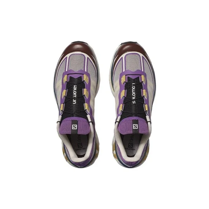 Salomon XT-6 Ft « Gris Violet Marron »