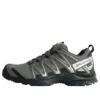 XA PRO 3D Gore-Tex « Pewter Silver Cloud »