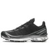 XT-6 FT « Metallic Silver »