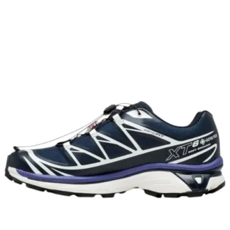 XT-6 Gore-Tex « Carbon Vanilla Ice »