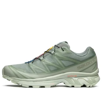 XT-6 Gore-Tex « Desert Sage Lily Pad »