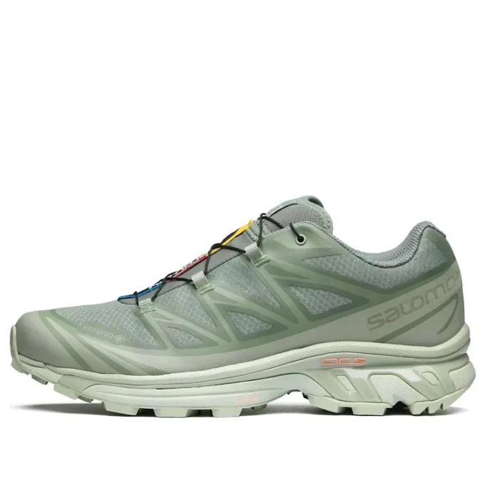 XT-6 Gore-Tex « Desert Sage Lily Pad » XT-6 Gore-Tex « Desert Sage Lily Pad »