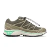 XT-6 Gore-Tex « Olive Night Dried Herb »