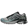 XT-PATHWAY « Ghost Grey Arona » XT-PATHWAY « Ghost Grey Arona »